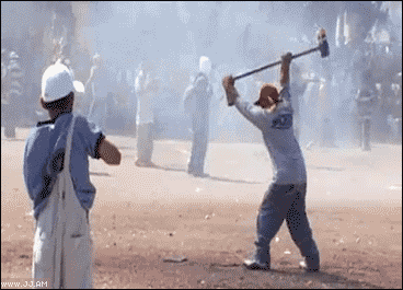 Collection of funny gif animations (53 gifs)