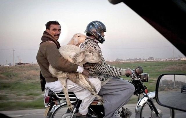 People (59 pics)