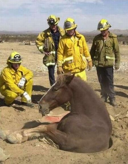 Daily picdump (104 pics)