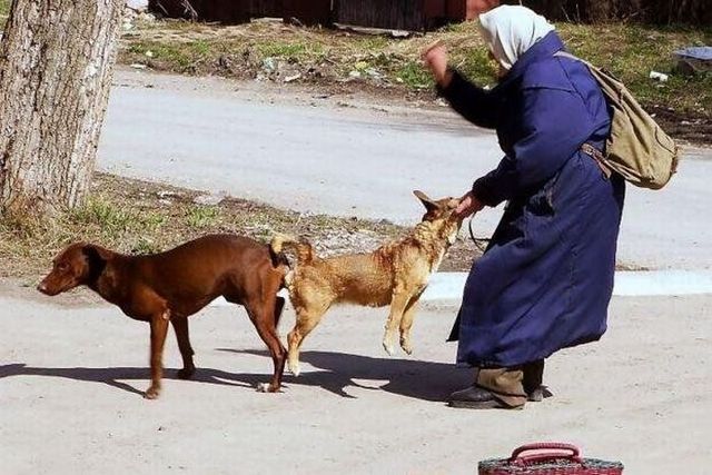 Daily picdump (107 pics)