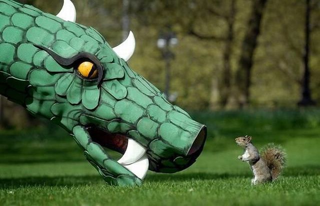 Daily picdump (122 pics)