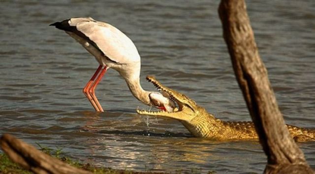 Daily picdump (122 pics)