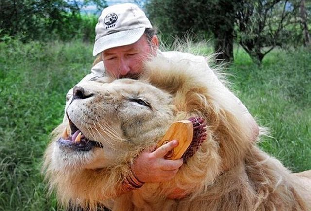 Daily picdump (108 pics)
