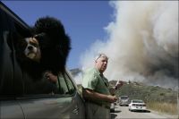 Curiosities and bonus pictures