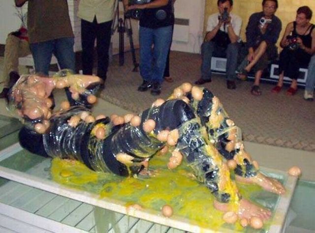 Only in Japan (50 pics)