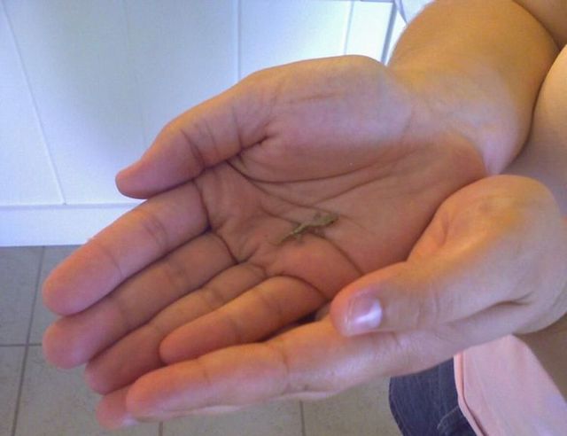 Daily picdump (127 pics)