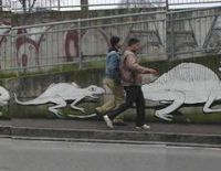 Curiosities and bonus pictures