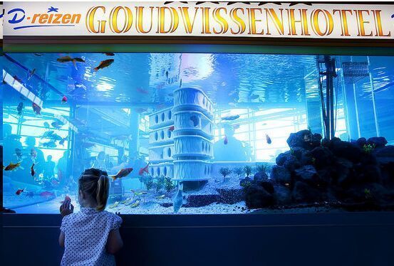 Curiosities and bonus pictures