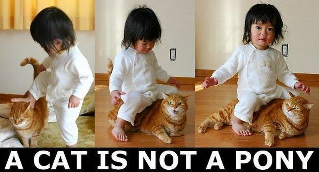 Daily picdump (138 pics)