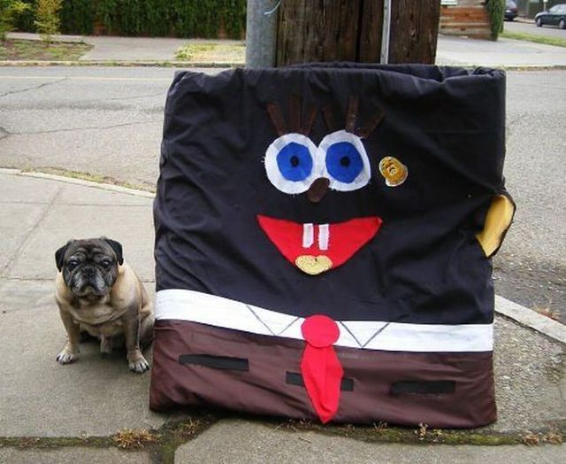 Daily picdump (138 pics)