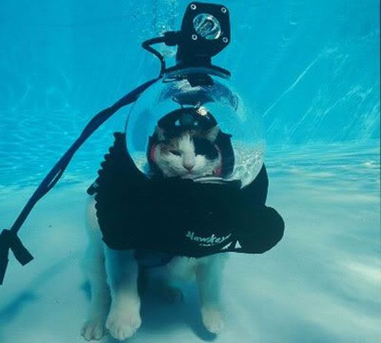 Daily picdump (138 pics)