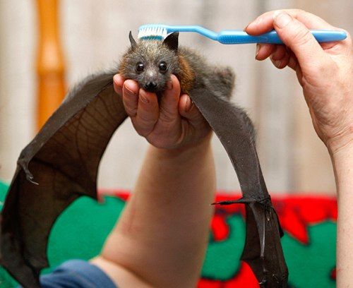 Daily picdump (138 pics)