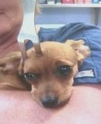 Curiosities and bonus pictures