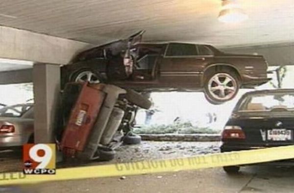 Daily picdump (102 pics)