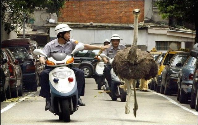 Daily picdump (102 pics)