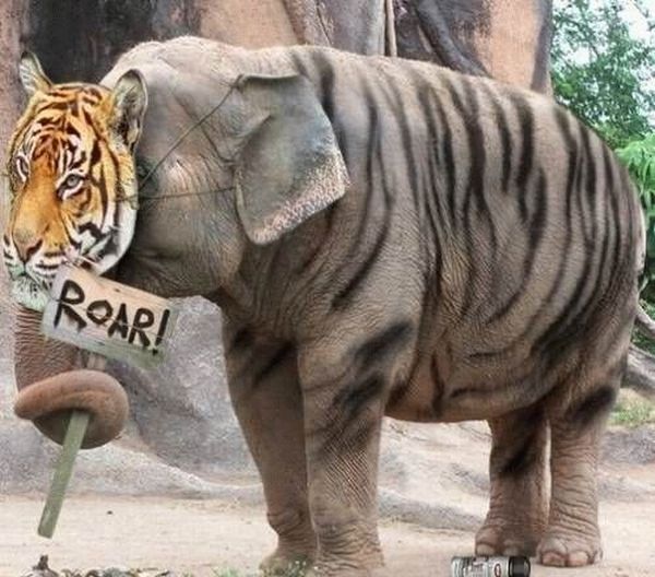 Daily picdump (102 pics)