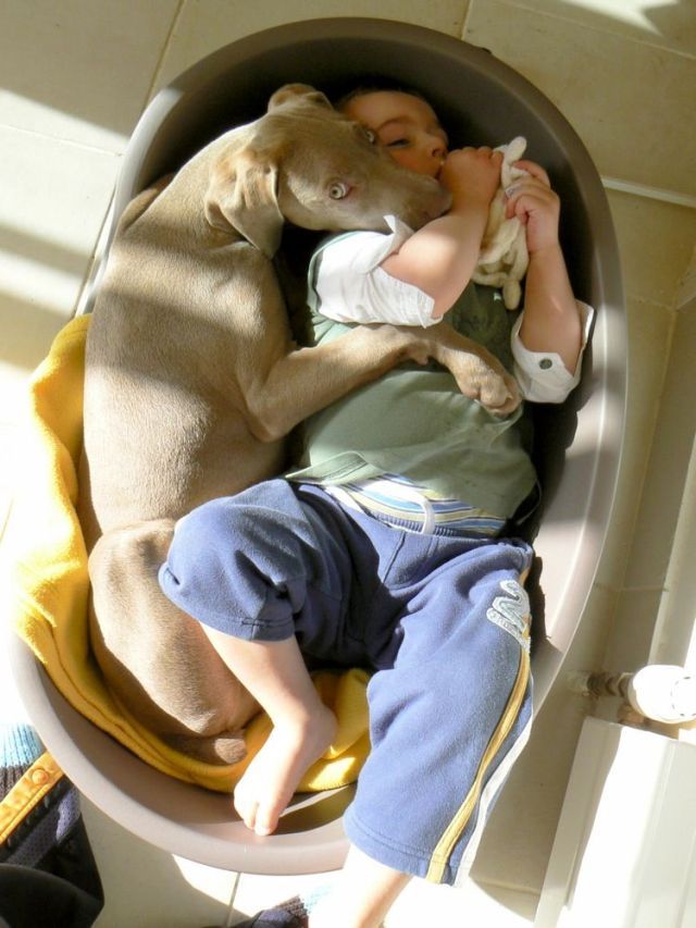 Daily picdump (106 pics)