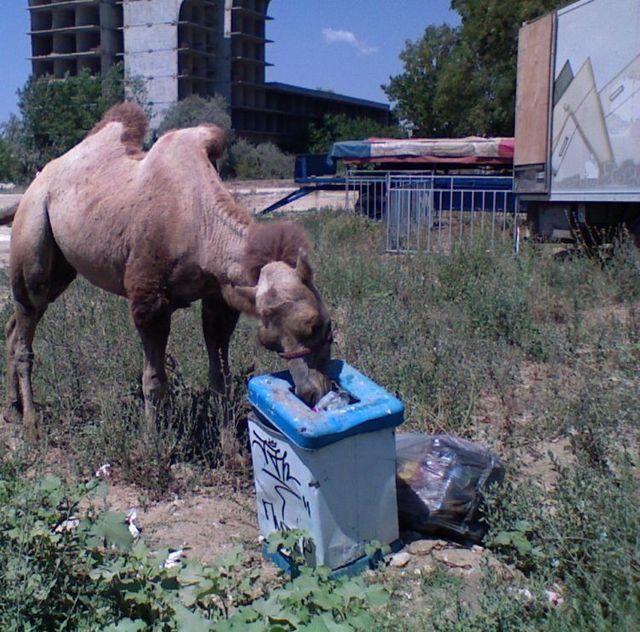 Daily picdump (106 pics)