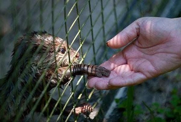 Daily picdump (106 pics)