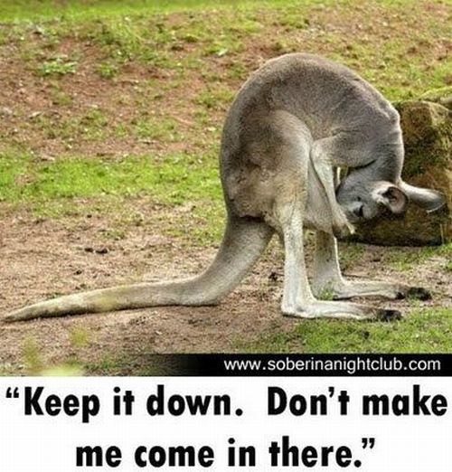 Daily picdump (138 pics)