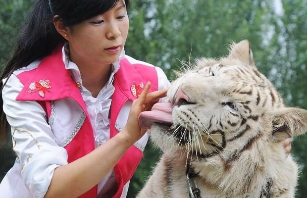 Daily picdump (138 pics)