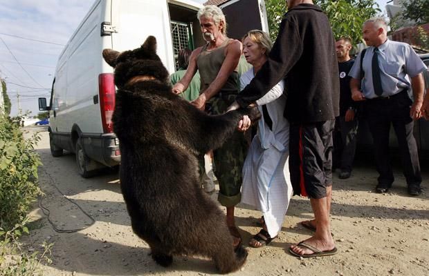 Daily picdump (138 pics)