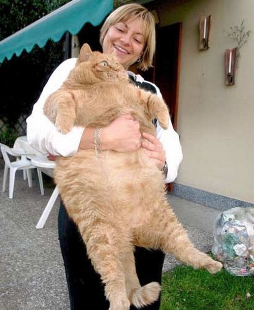 Daily picdump (138 pics)
