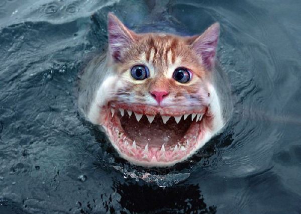 Daily picdump (138 pics)