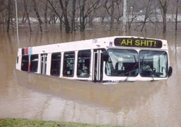 Daily picdump (138 pics)