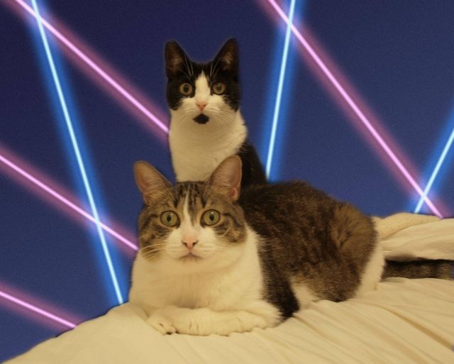 Daily picdump (107 pics)