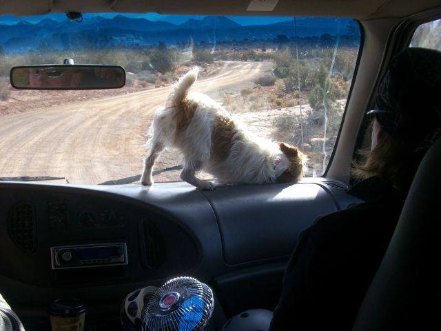 Daily picdump (121 pics)