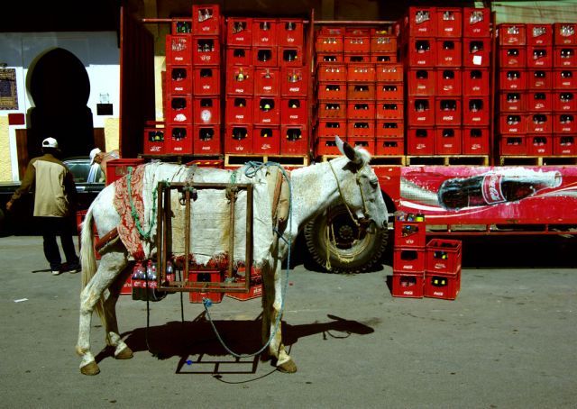 Daily picdump (121 pics)