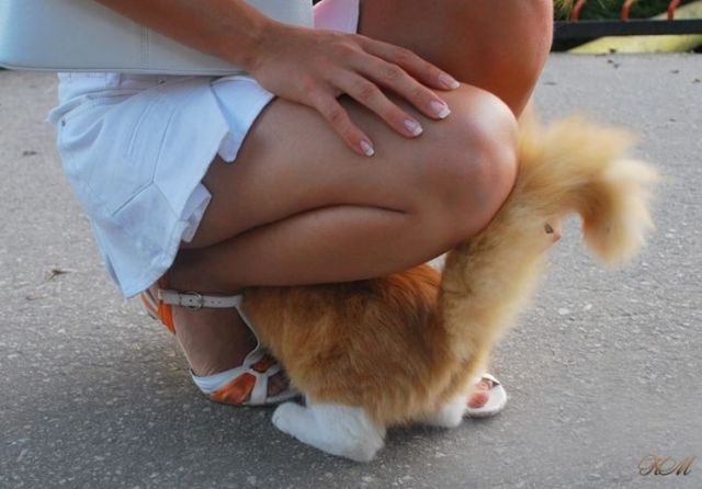 Daily picdump (121 pics)