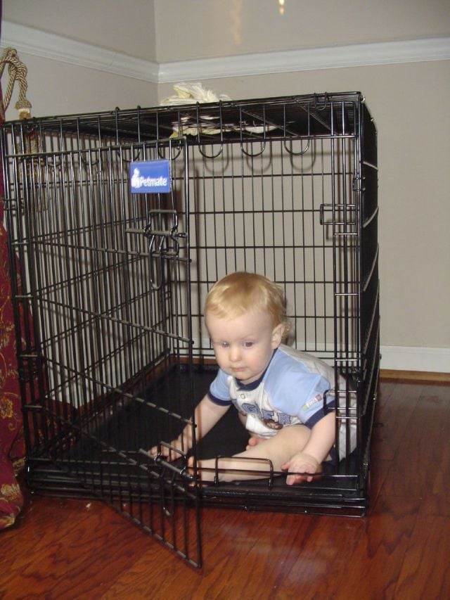 Children in cages (30 pics)