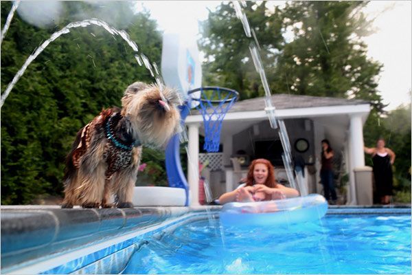 Daily picdump (149 pics)
