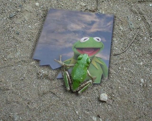 Daily picdump (149 pics)