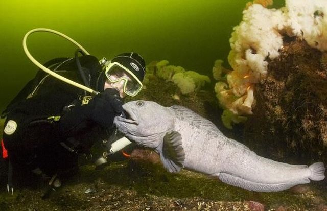 Daily picdump (149 pics)
