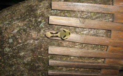 Curiosities and bonus pictures