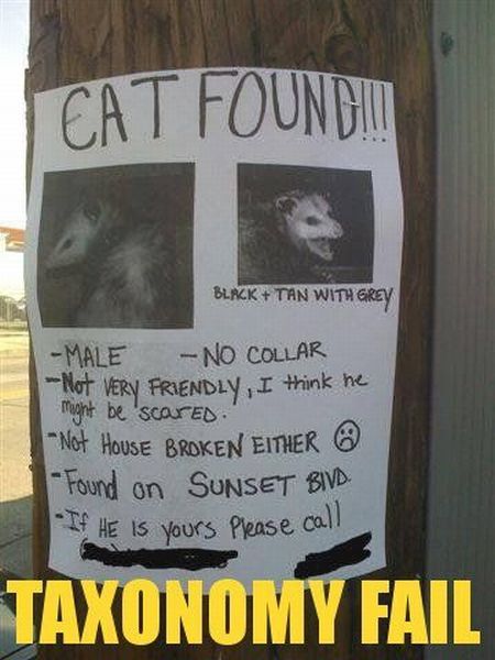 Epic fails. The best of the best. Part 1 (79 pics)