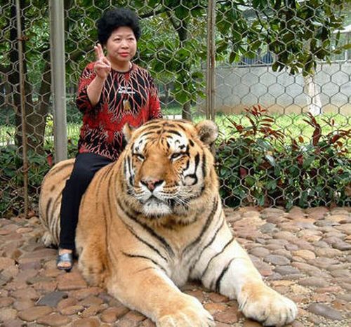 Only in Asia (145 pics)