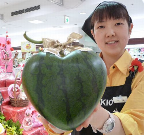 Only in Asia (145 pics)