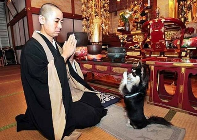 Only in Asia (145 pics)