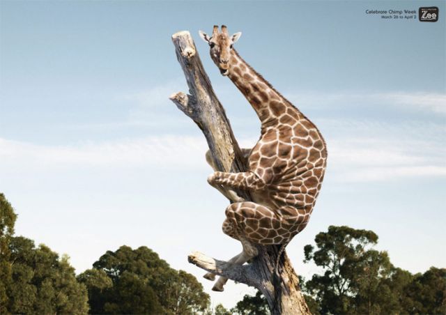 World’s Best Photo Retouching (76 pics)