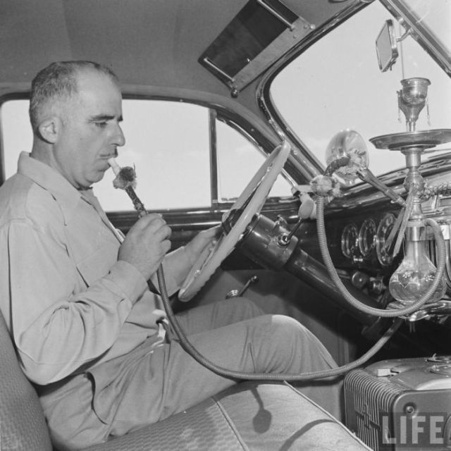 Daily picdump (127 pics)