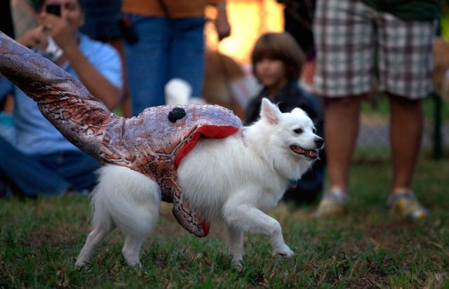 Daily picdump (118 pics)