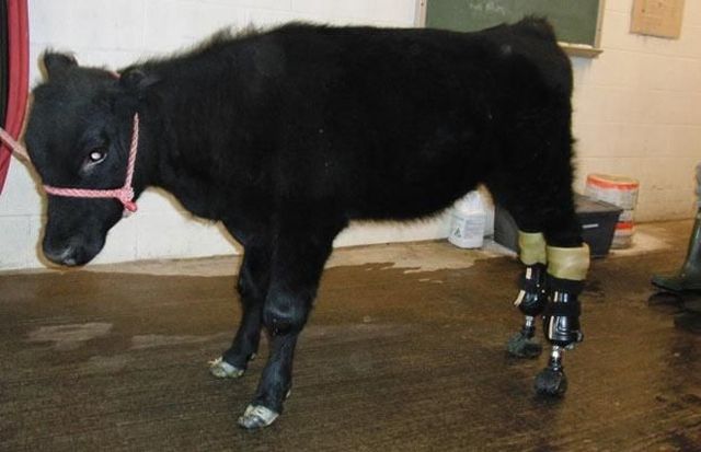 Daily picdump (118 pics)