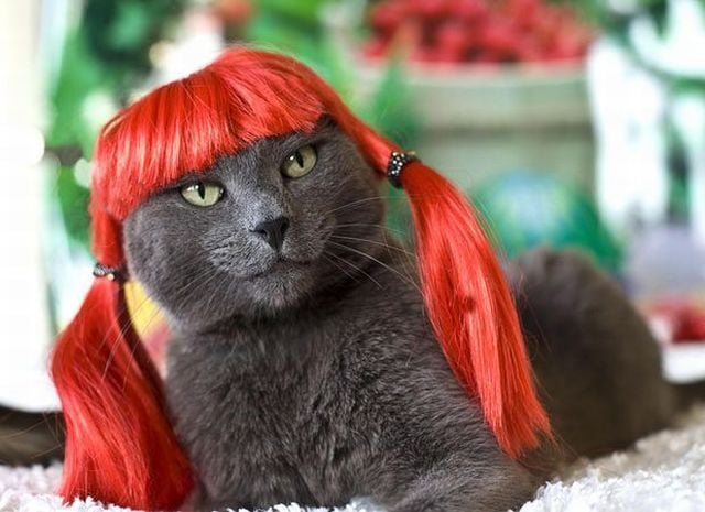 Daily picdump (118 pics)