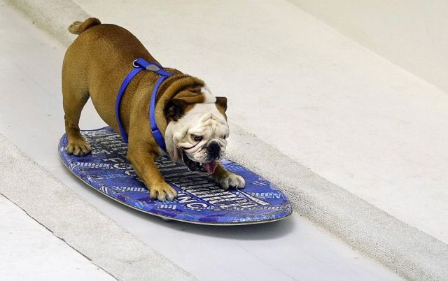 Daily picdump (116 pics)