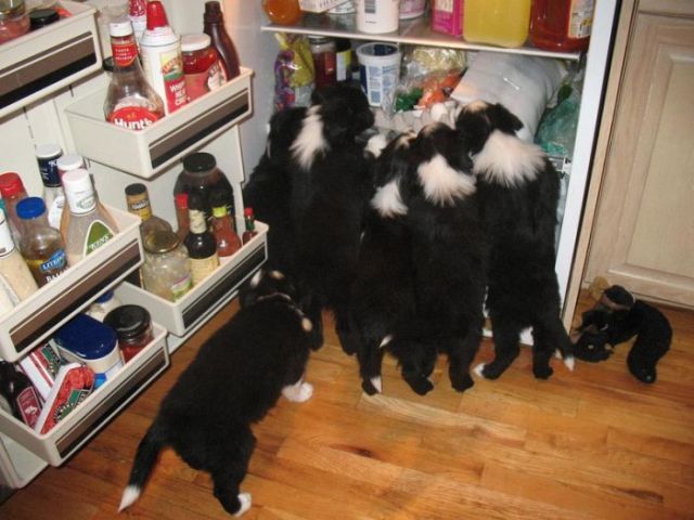 Daily picdump (153 pics)