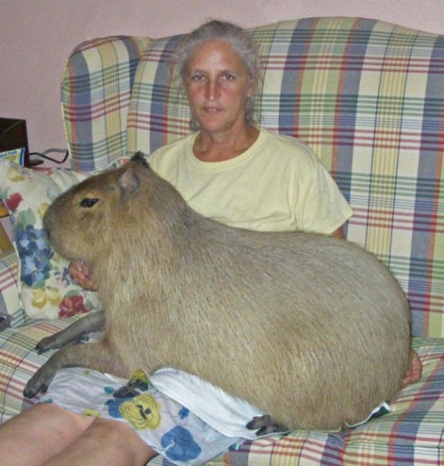 Daily picdump (153 pics)